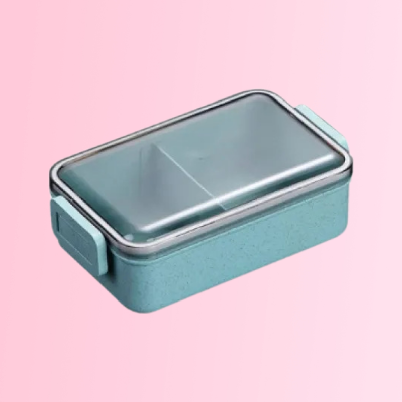 Microwave Lunch Box
